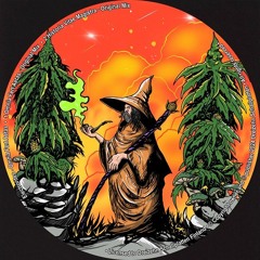 Electrorites - Omnia Fert Aetas [Cut] Dreizehn Schallplatten