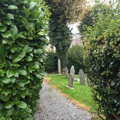 GiffordPlace Podcast 3