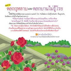 020 ดอกกุหลาบและดอกบานไม่รู้โรย