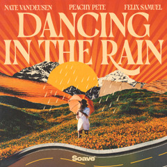 Nate VanDeusen & Peachy Pete - Dancing In The Rain (feat. Felix Samuel)