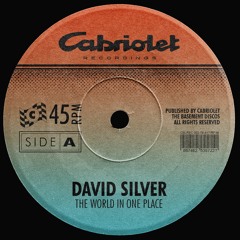 PREMIERE: David Silver - The World In One Place [Cabriolet Recordings]