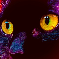 WHAT'S GOOD - Tyler The Creator(NOT MUCH REMIX) - BUFY