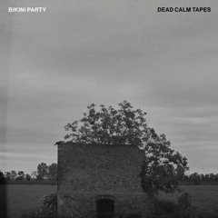 Bikini Party - Stillness