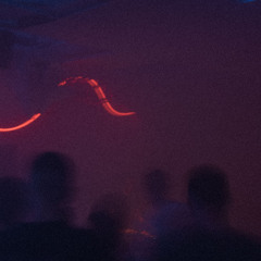 closing small steps at bis.club 15022025