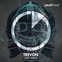 Get Wild (Original Mix)