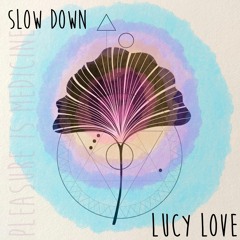 Slow Down Lucy Love