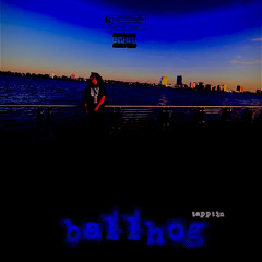 Ballhog