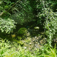 09 - Waiting Room [2]