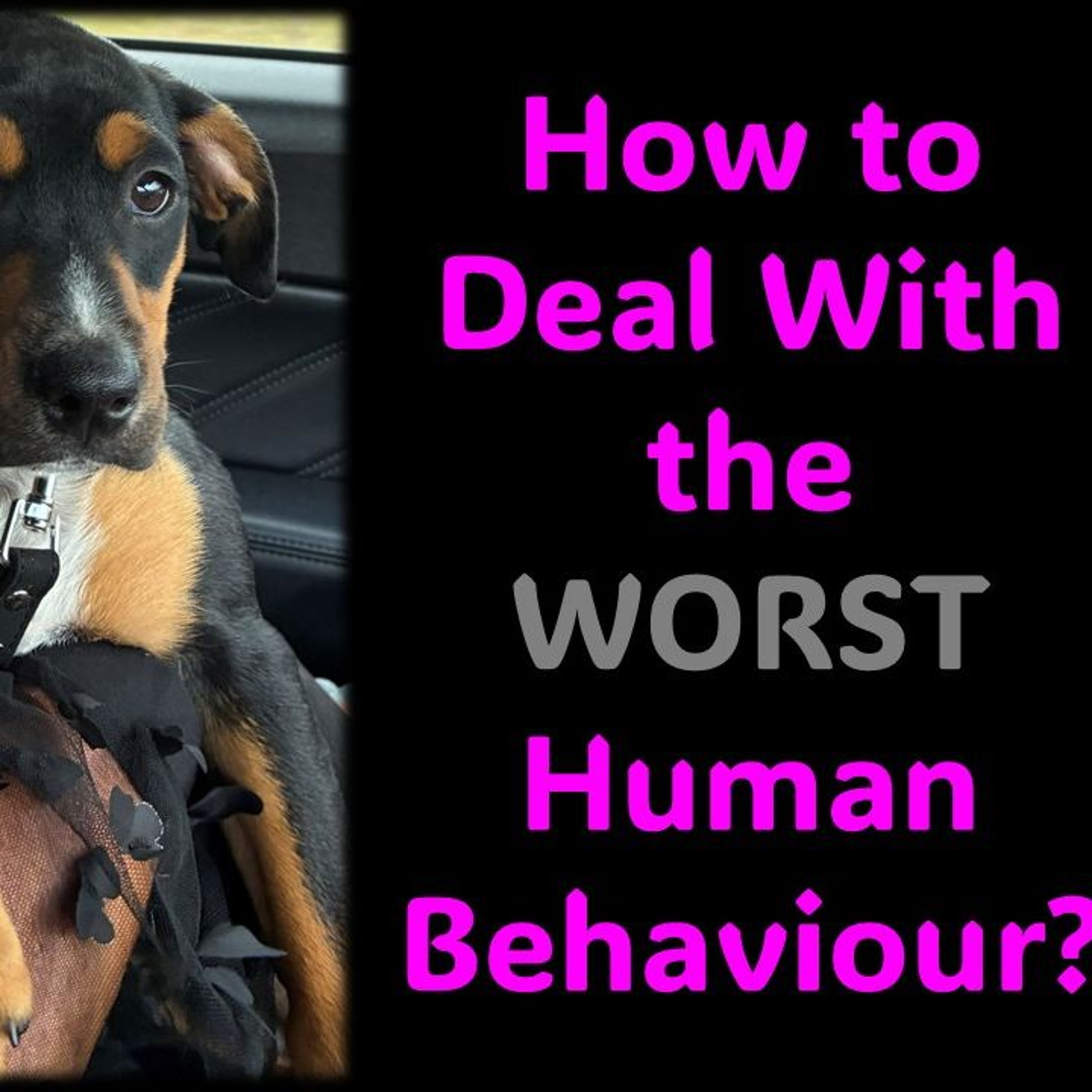 How to Deal With the WORST Human Behaviour