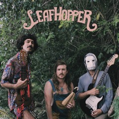Terror/Cactus & Cuervo Cuervo - Leafhopper