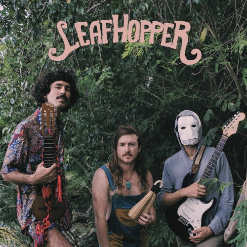 Terror/Cactus & Cuervo Cuervo - Leafhopper
