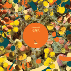 Marigolds for Movement
