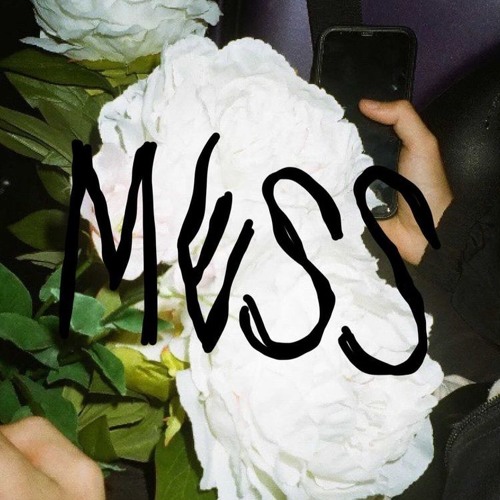 MESS