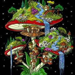 SHROOM ISLAND