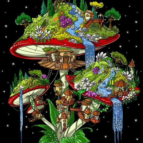 SHROOM ISLAND