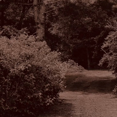Interlude 4 [Deluxe Track]