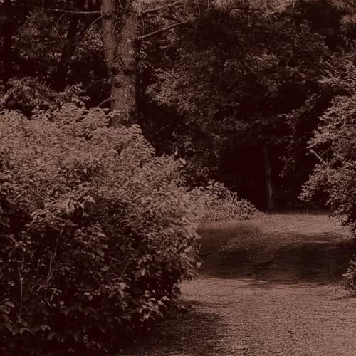 Interlude 4 [Deluxe Track]