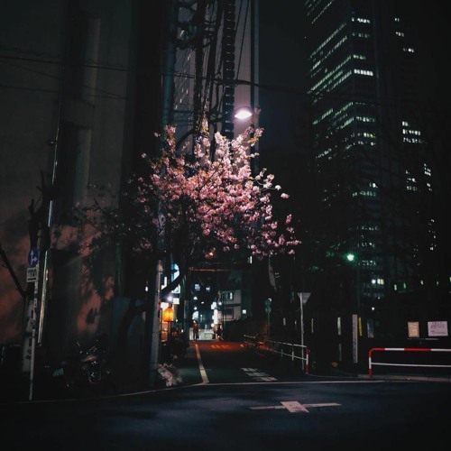 狐 on X: 