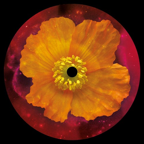 PREMIERE: Clarence Wu - Future [HUA3000]