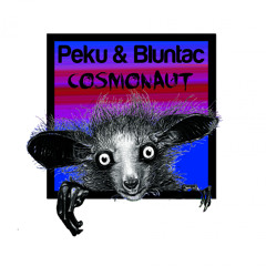 Peku & Bluntac - Cosmonaut EP