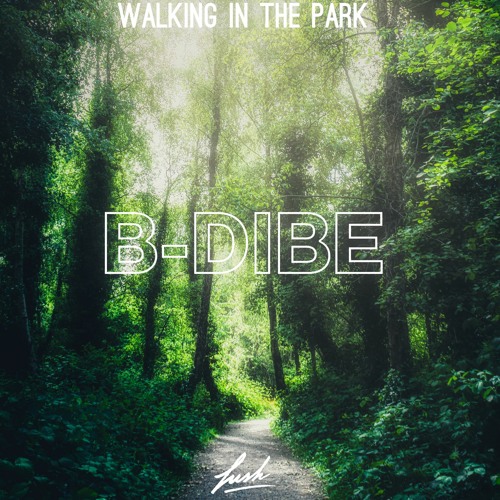 B-Dibe // Walking in the Park