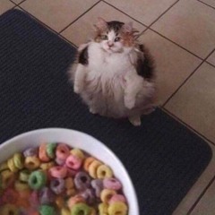 Cokyo x 2 Slumpt - Daamn