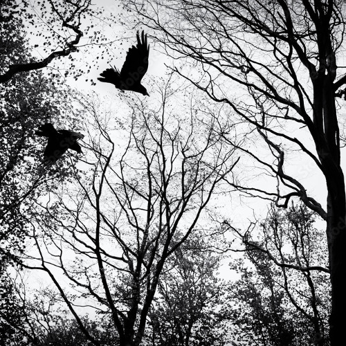 Check - Reasons (Prod.by Metlast)