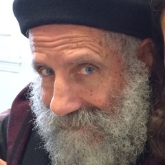 How to Live in Christ- Fr. Louka Sidarous