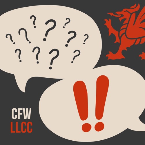 Arolwg 2023 | Freelance Check-In (Welsh)