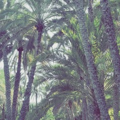 لعمرك إني لا أبالي بحاسد - المنشد معاذ المشرفي.m4a