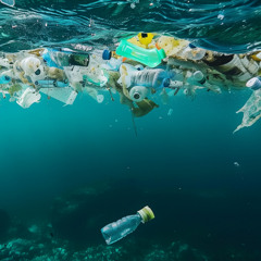 Im Meer falscher Welten (2017,M+T:KR)