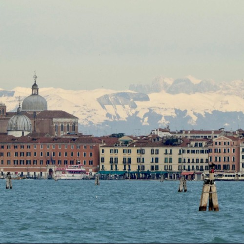 Over Forest Over Time