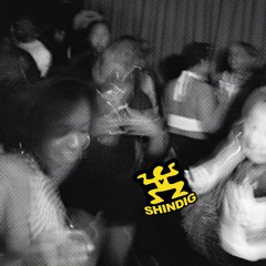 SHINDIG 017 (13.12.24)