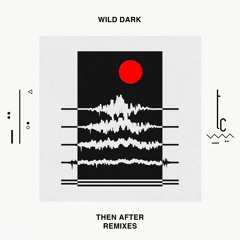 Premiere: Wild Dark - Talky Talkie (Robbie Akbal Remix) [trueColors]