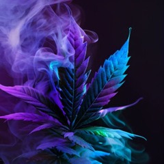TREEZZ--- 2025
