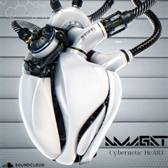 Amagat - Cybernetic HeART
