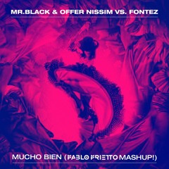 MR.BLACK & Offer Nissim Vs. Fontez - Mucho Bien (Pablo Prietto Mashup)
