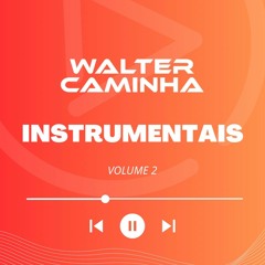 WALTER CAMINHA - INSTRUMENTAIS VOL. 2 (PREVIEW) Pix/Paypal