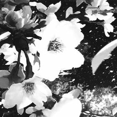 SEIDS sample challenge - imnotashersubmission