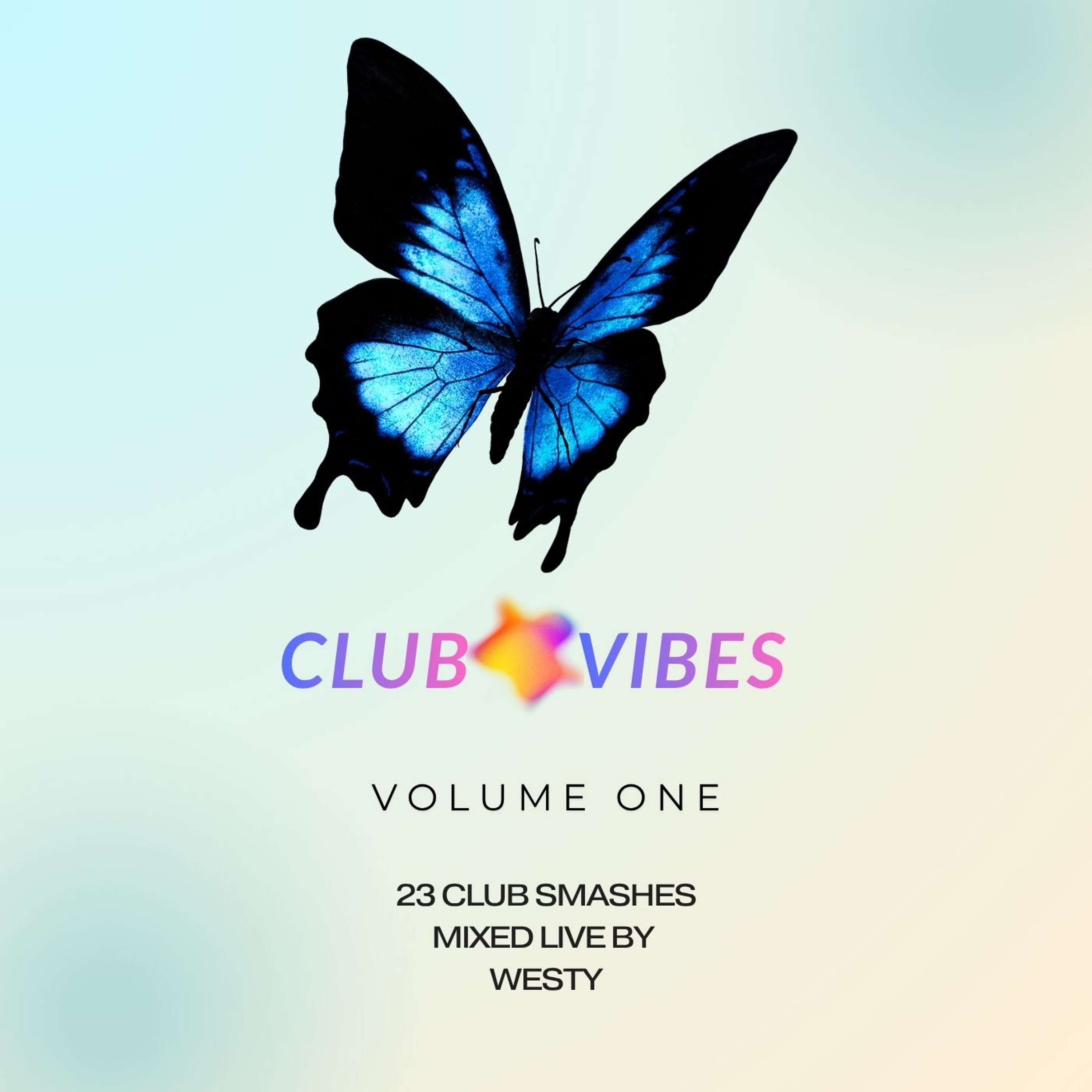 Club Vibes  Vol 1 episode artwork