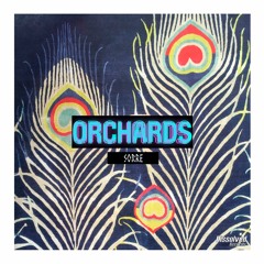 illyria - Orchards