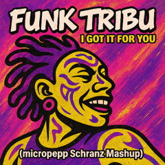funky tribu - i got if for you mashup