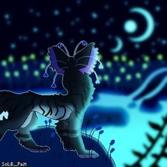 Toby Fox - Patient (Fanmade Extended Version)