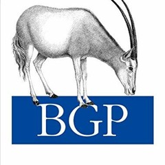 View PDF BGP by  Iljitsch Van Beijnum