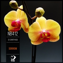 DJ Santiyago - Goodbye (Original Mix)