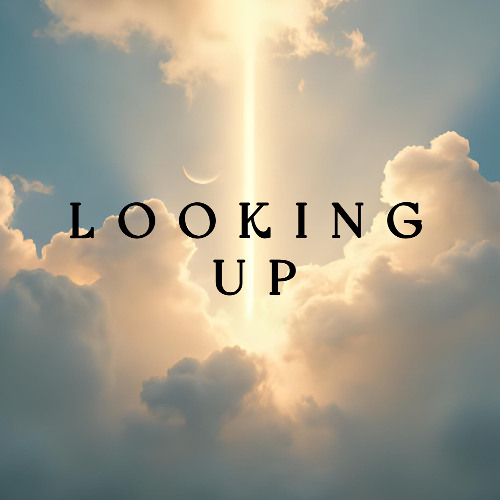 Looking Up
