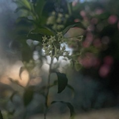 New & hot: Folk & Singer-Songwriter