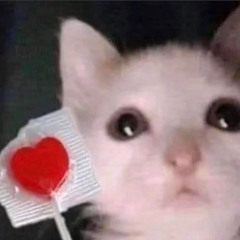 I be that-elise estrada