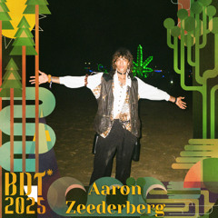 Aaron Zeederberg @ Bucht der Träumer Festival 2025 | Schweißperle