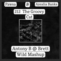 Pawsa & Azealia Banks - 212 The Groovy Cat (Antony B & Brett Wild Mashup)